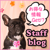 Staff blog