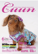 Cuun �����