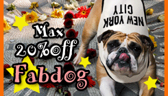 ��Fab Dog�ۡ��˥塼�衼��������ã�֥��ɥ����������磲���󥪥բ�