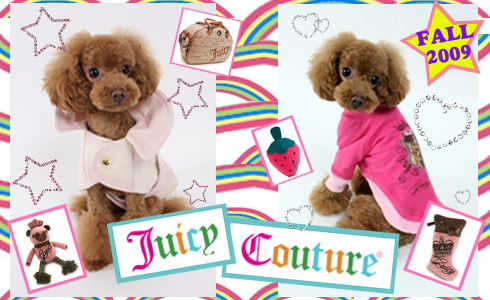 ����ָ����ʥ�С����֥��ɡ���Juicy Couture�ۥ�������Juicy�����ƥब���äѤ���