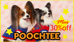 ��POOCHTEE�ۡ��ѥ��ǥ��ǥ����󥦥��������äѤ������磳���󥪥բ�