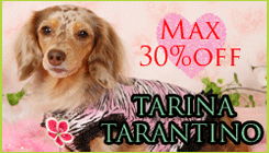 ��TARINA TARANTINO�ۡ��������ʥ��������꡼�����磳���󥪥բ�