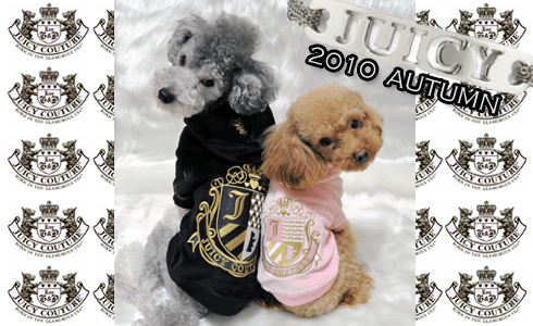 �ڡ�CLEARANCE SALE���ߥ����ƥब���磷���󥪥ա�����
